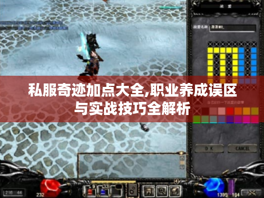 私服奇迹加点大全,职业养成误区与实战技巧全解析