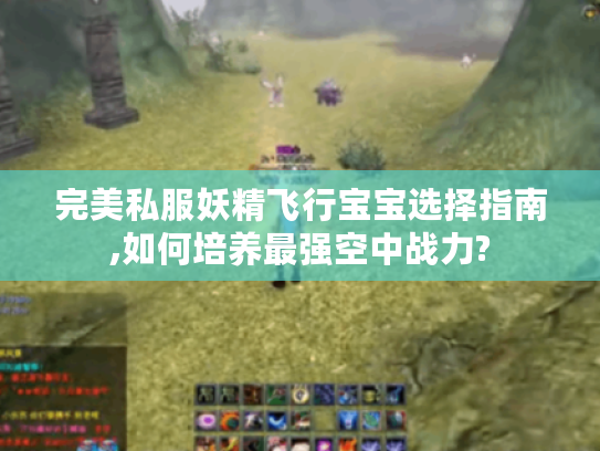 完美私服妖精飞行宝宝选择指南,如何培养最强空中战力? 完美私服妖精飞行宝宝选择指南,如何培养最强空中战力?