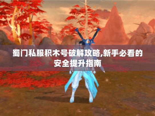 蜀门私服积木号破解攻略,新手必看的安全提升指南