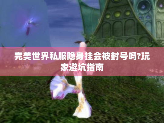 完美世界私服隐身挂会被封号吗?玩家避坑指南