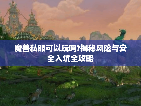 魔兽私服可以玩吗?揭秘风险与安全入坑全攻略