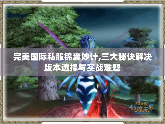 完美国际私服锦囊妙计,三大秘诀解决版本选择与实战难题
