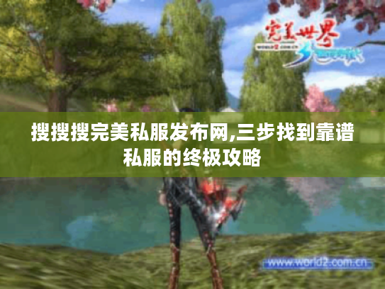搜搜搜完美私服发布网,三步找到靠谱私服的终极攻略