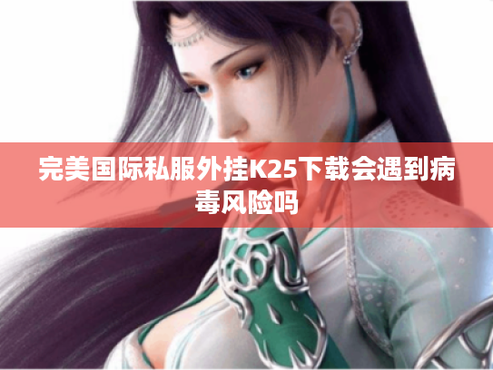 完美国际私服外挂K25下载会遇到病毒风险吗