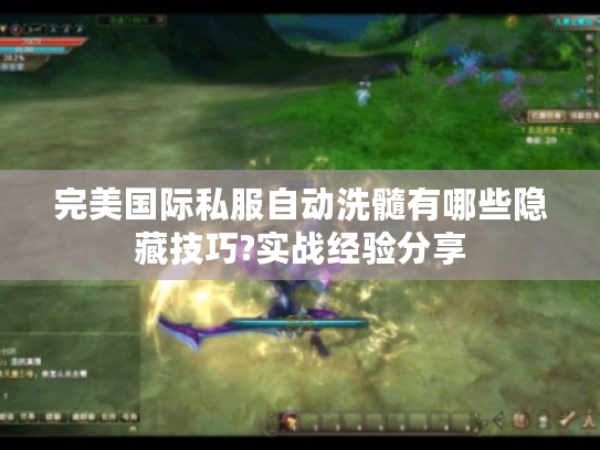 完美国际私服自动洗髓有哪些隐藏技巧?实战经验分享