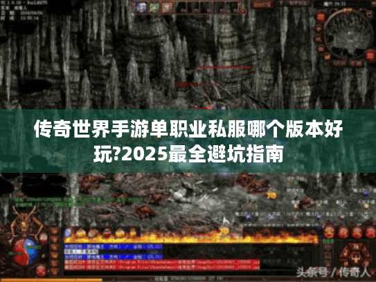传奇世界手游单职业私服哪个版本好玩?2025最全避坑指南