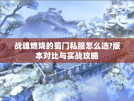 战魂燃烧的蜀门私服怎么选?版本对比与实战攻略