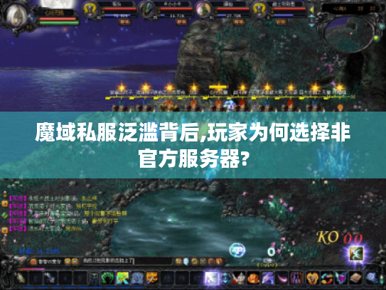 魔域私服泛滥背后,玩家为何选择非官方服务器?
