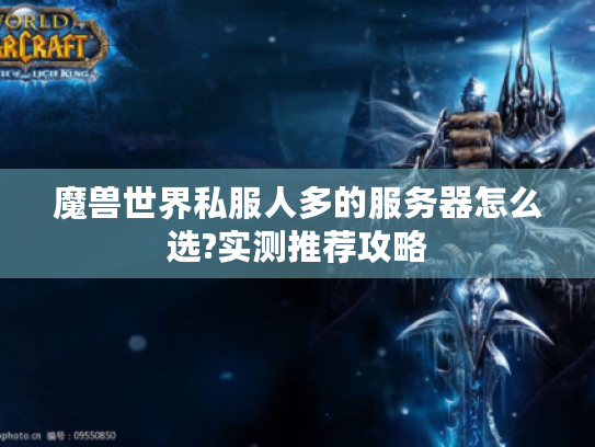 魔兽世界私服人多的服务器怎么选?实测推荐攻略