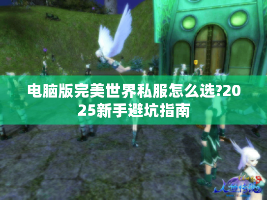 电脑版完美世界私服怎么选?2025新手避坑指南