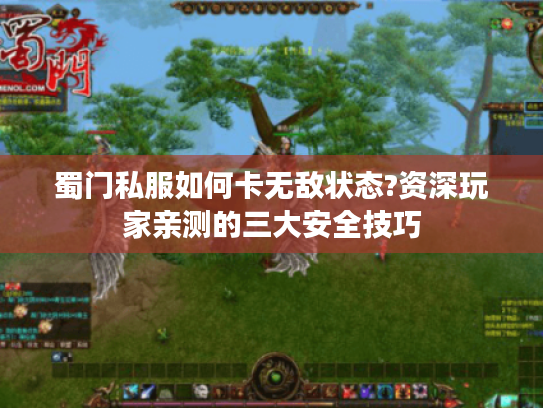 蜀门私服如何卡无敌状态?资深玩家亲测的三大安全技巧
