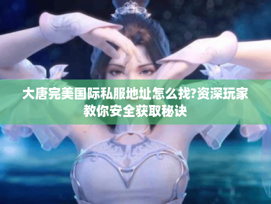 大唐完美国际私服地址怎么找?资深玩家教你安全获取秘诀