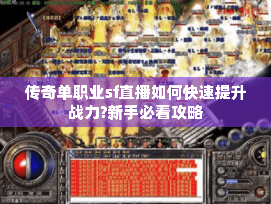 传奇单职业sf直播如何快速提升战力?新手必看攻略
