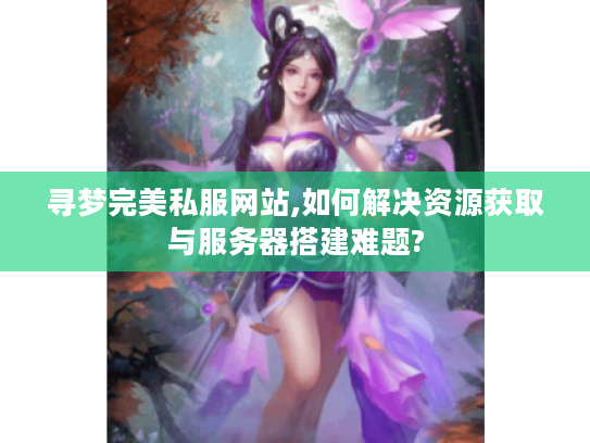 寻梦完美私服网站,如何解决资源获取与服务器搭建难题?