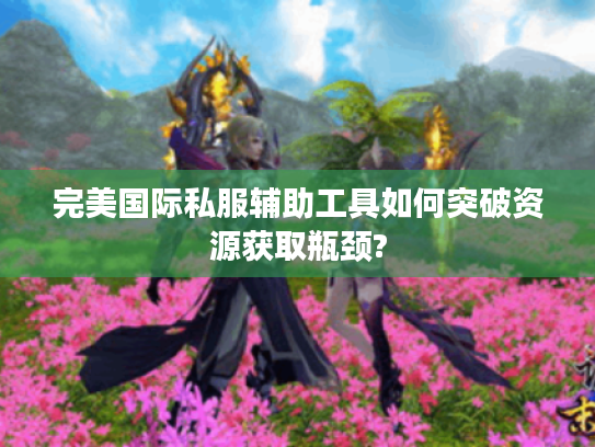 完美国际私服辅助工具如何突破资源获取瓶颈?