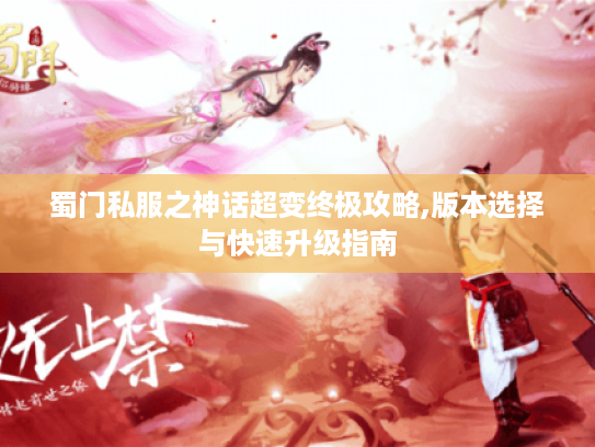 蜀门私服之神话超变终极攻略,版本选择与快速升级指南
