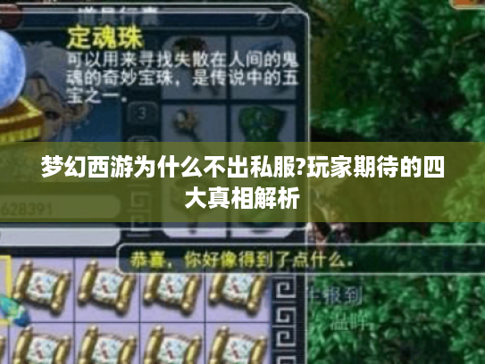 梦幻西游为什么不出私服?玩家期待的四大真相解析
