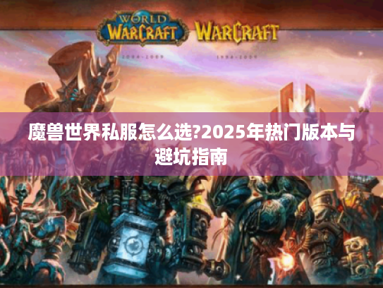 魔兽世界私服怎么选?2025年热门版本与避坑指南