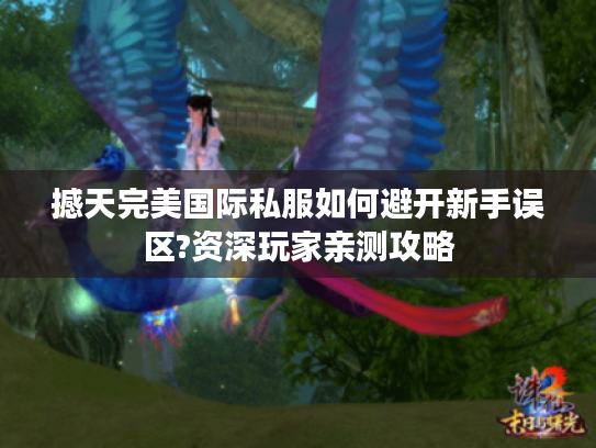 撼天完美国际私服如何避开新手误区?资深玩家亲测攻略