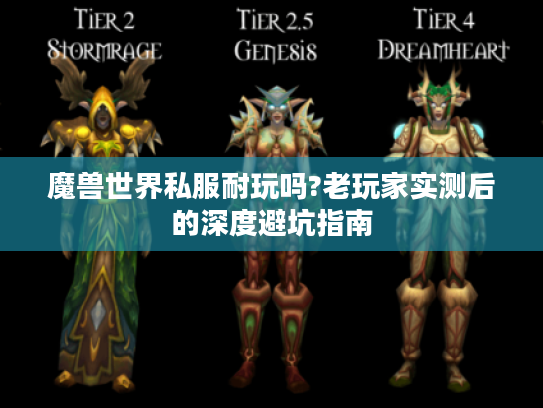 魔兽世界私服耐玩吗?老玩家实测后的深度避坑指南