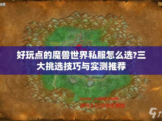 好玩点的魔兽世界私服怎么选?三大挑选技巧与实测推荐