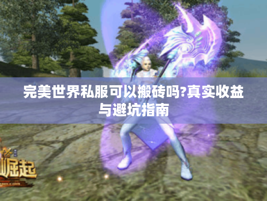 完美世界私服可以搬砖吗?真实收益与避坑指南