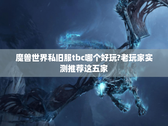 魔兽世界私旧服tbc哪个好玩?老玩家实测推荐这五家