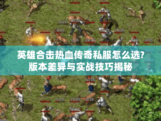 英雄合击热血传奇私服怎么选?版本差异与实战技巧揭秘
