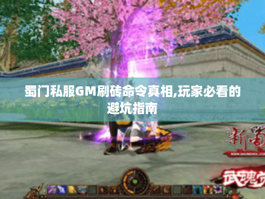 蜀门私服GM刷砖命令真相,玩家必看的避坑指南