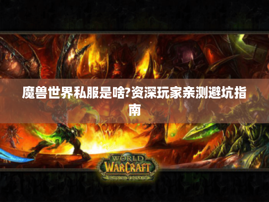 魔兽世界私服是啥?资深玩家亲测避坑指南