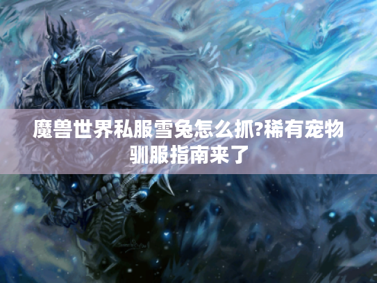 魔兽世界私服雪兔怎么抓?稀有宠物驯服指南来了