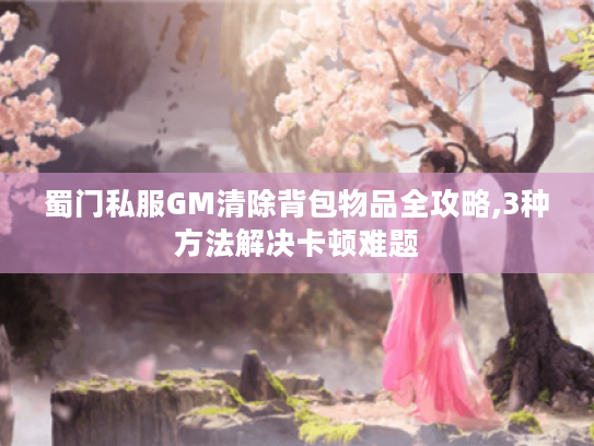 蜀门私服GM清除背包物品全攻略,3种方法解决卡顿难题