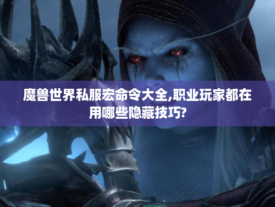 魔兽世界私服宏命令大全,职业玩家都在用哪些隐藏技巧?