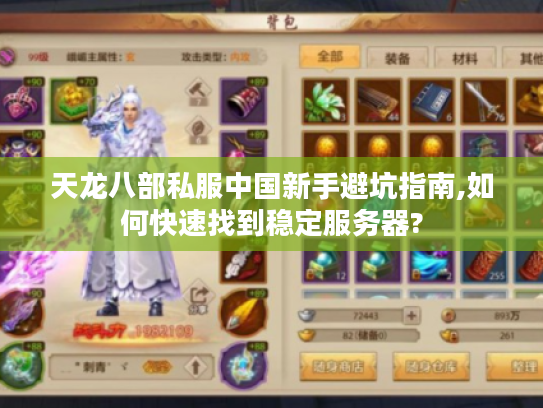 天龙八部私服中国新手避坑指南,如何快速找到稳定服务器?