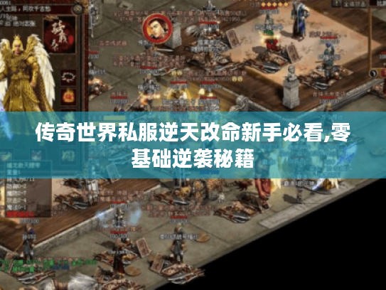 传奇世界私服逆天改命新手必看,零基础逆袭秘籍