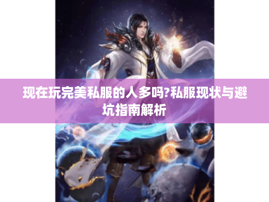现在玩完美私服的人多吗?私服现状与避坑指南解析