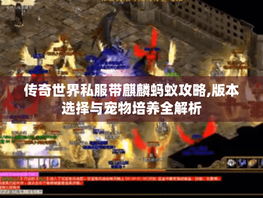 传奇世界私服带麒麟蚂蚁攻略,版本选择与宠物培养全解析 传奇世界私服带麒麟蚂蚁攻略,版本选择与宠物培养全解析