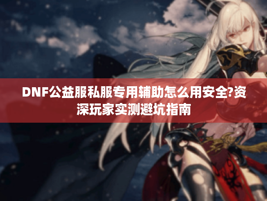 DNF公益服私服专用辅助怎么用安全?资深玩家实测避坑指南