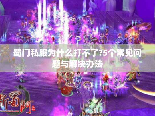 蜀门私服为什么打不了?5个常见问题与解决办法