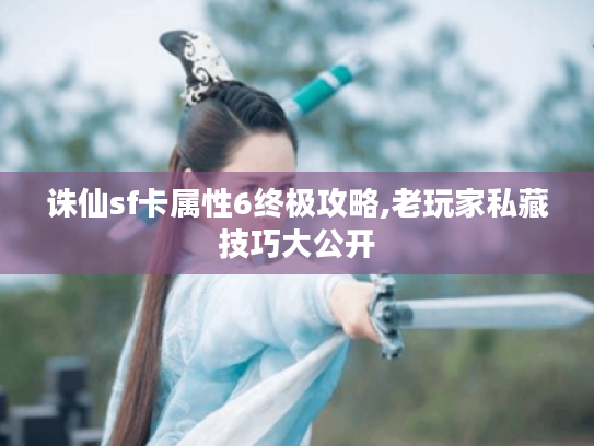 诛仙sf卡属性6终极攻略,老玩家私藏技巧大公开