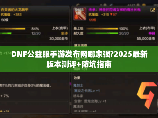 DNF公益服手游发布网哪家强?2025最新版本测评+防坑指南 DNF公益服手游发布网哪家强?2025最新版本测评+防坑指南