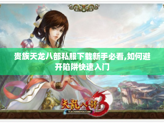 贵族天龙八部私服下载新手必看,如何避开陷阱快速入门