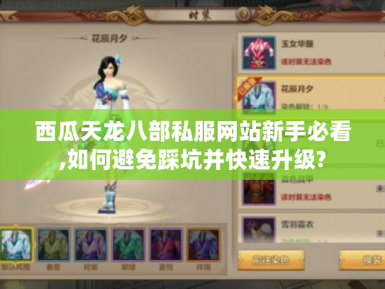 西瓜天龙八部私服网站新手必看,如何避免踩坑并快速升级?