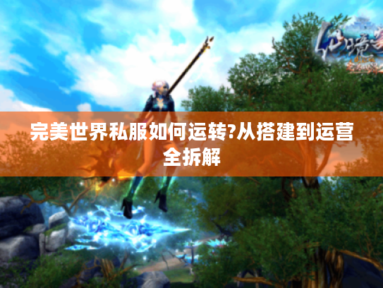 完美世界私服如何运转?从搭建到运营全拆解