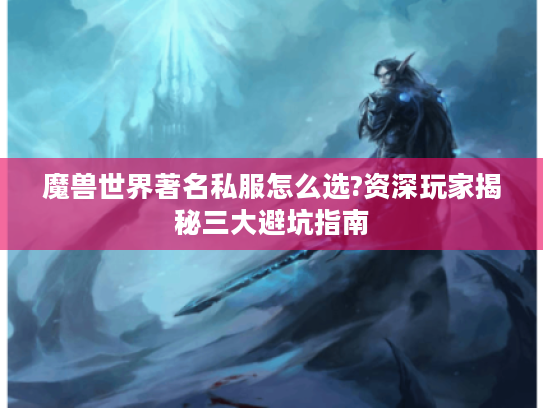 魔兽世界著名私服怎么选?资深玩家揭秘三大避坑指南 魔兽世界著名私服怎么选?资深玩家揭秘三大避坑指南