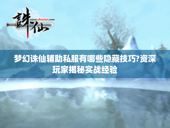 梦幻诛仙辅助私服有哪些隐藏技巧?资深玩家揭秘实战经验