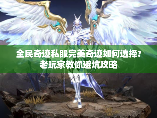 全民奇迹私服完美奇迹如何选择?老玩家教你避坑攻略