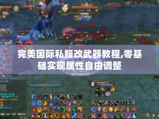 完美国际私服改武器教程,零基础实现属性自由调整