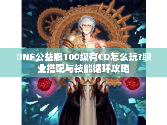 DNF公益服100级有CD怎么玩?职业搭配与技能循环攻略