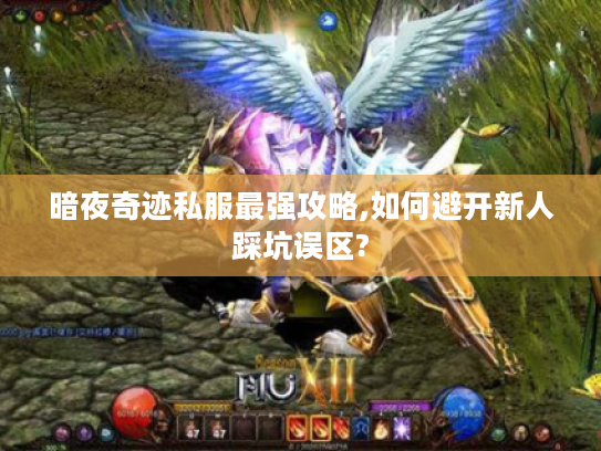 暗夜奇迹私服最强攻略,如何避开新人踩坑误区?